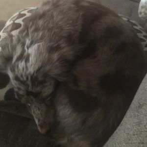 Meet your Posher, Charlotte